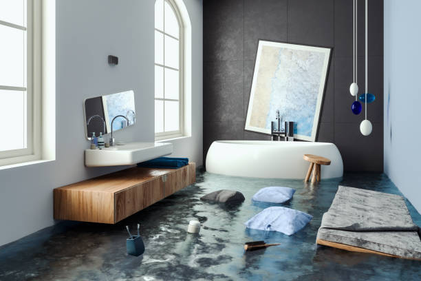 Best Residential water damage restoration  in Elkader, IA