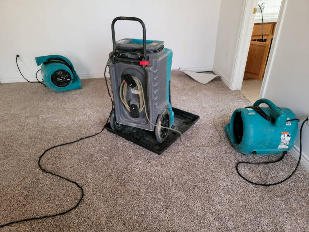 Best Basement water damage restoration  in Elkader, IA