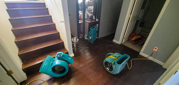 Best Water damage restoration near me  in Elkader, IA