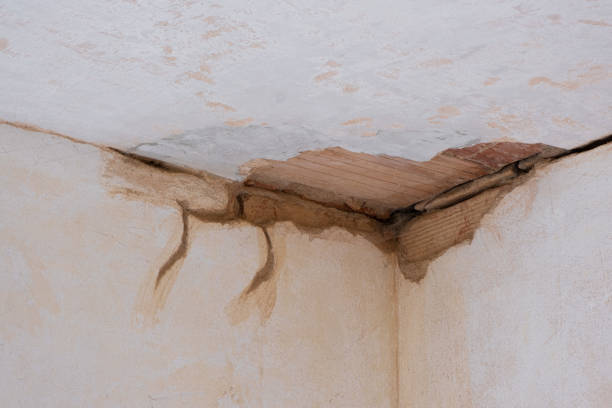 Best Water damage restoration insurance claims  in Elkader, IA