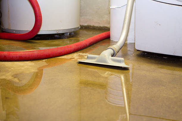 Best Sewage cleanup and water damage restoration  in Elkader, IA