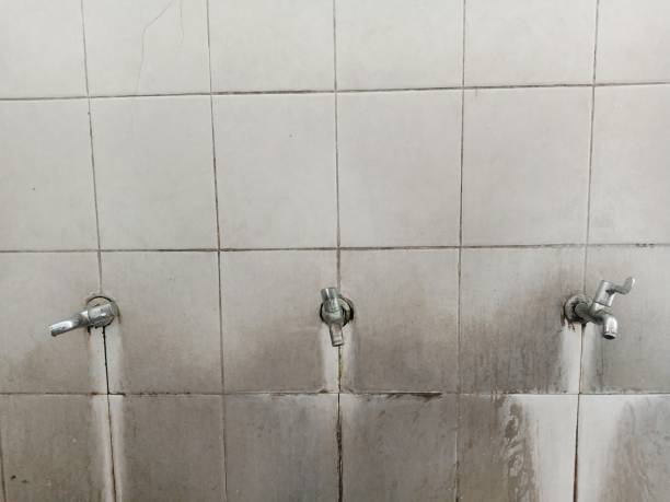 Best Water damage contractors near me  in Elkader, IA