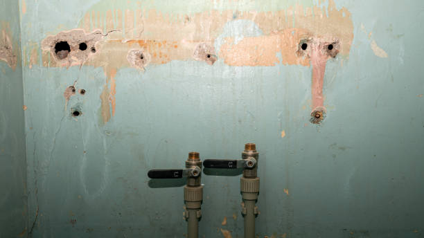 Best Basement water damage restoration  in Elkader, IA
