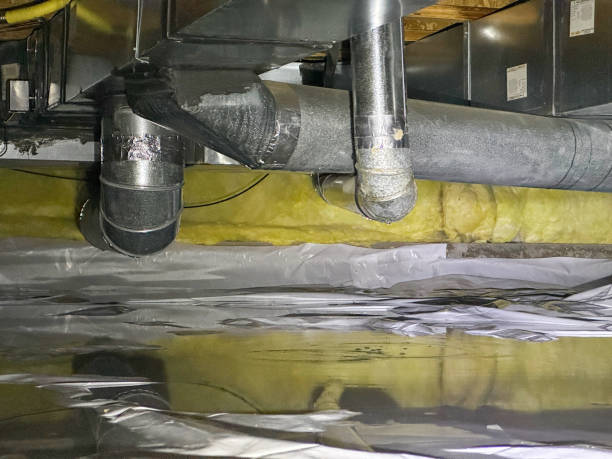 Best Mold removal after water damage  in Elkader, IA