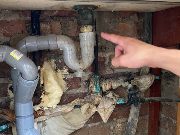 Best Water damage repair service  in Elkader, IA