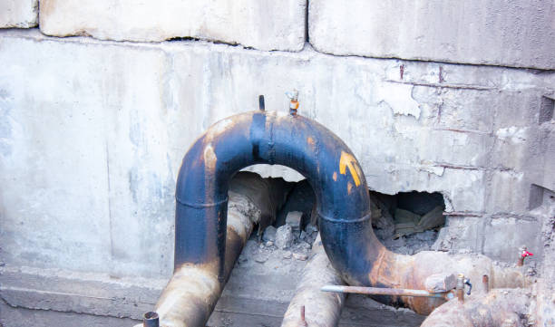Best Fire Damage Restoration  in Elkader, IA