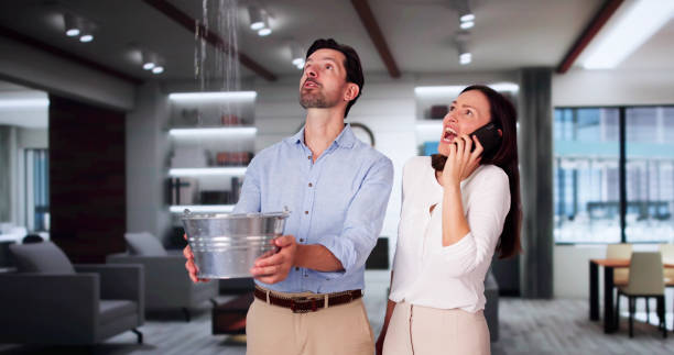 Best Flooded house restoration  in Elkader, IA