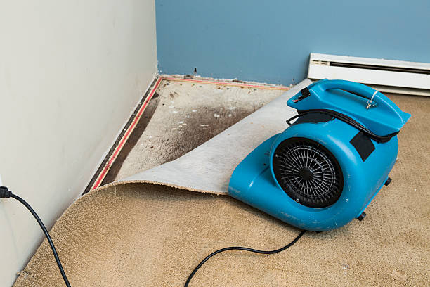 Best Residential water damage restoration  in Elkader, IA